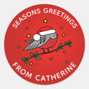 Cute Red Robin Bird Kerstmis Ronde Sticker
