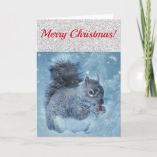 Cute Red Silver en Blue Squirrel Kaart