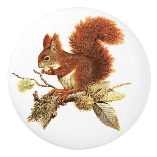 Cute Red Squirrel on Branch Keramische Knop (Voorkant)