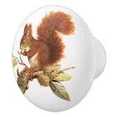 Cute Red Squirrel on Branch Keramische Knop (Rechts)