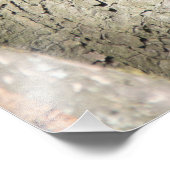 Cute red squirrel op een boom foto afdruk (Hoek)