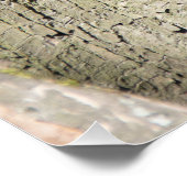 Cute red squirrel op een boom perfect poster (Hoek)