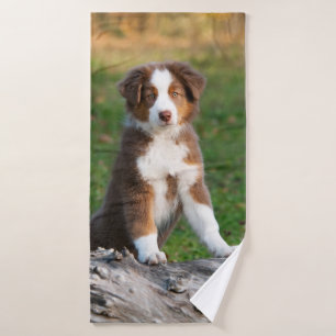 Cute Red Tri Australian Shepherd Dog Puppy Photo, Bad Handdoek