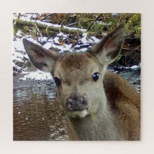 Cute Reeënjong Reekalf Boslandschap Legpuzzel