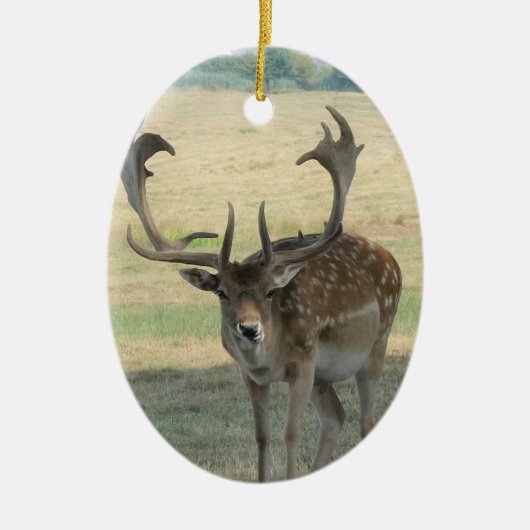 Cute Reindeer Keramisch Ornament (Voorkant)