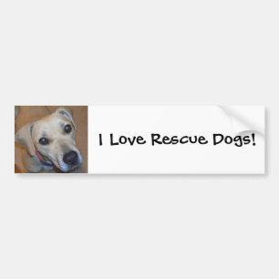 Cute Rescue Dog Bumpersticker