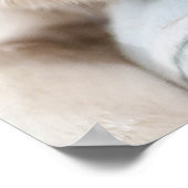 Cute Retriever Dog poster (Hoek)