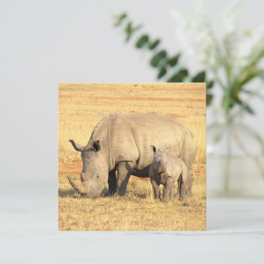 Cute rhinoceros in afrika (Staand voorkant)