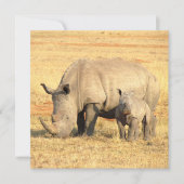 Cute rhinoceros in afrika (Voorkant)