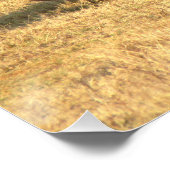 Cute rhinoceros in afrika perfect poster (Hoek)