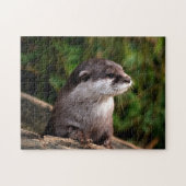 Cute River Otter, Jigsaw Puzzle (Horizontal)