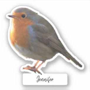 Cute Robin bird gepersonaliseerde aangepaste cut Sticker