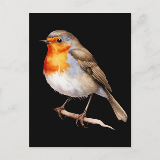 Cute Robin Briefkaart (Voorkant)