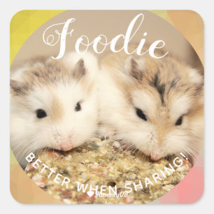 Cute Robo Hamsters Foodie Vierkante Sticker