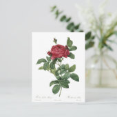 Cute Roos Botanical Beauful Floral Briefkaart (Staand voorkant)