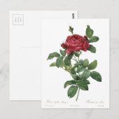 Cute Roos Botanical Beauful Floral Briefkaart (Voorkant / Achterkant)