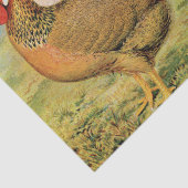 Cute  Rooster en hen party Tissuepapier (Detail)