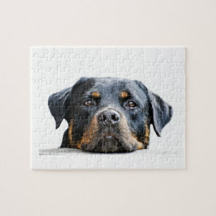 Cute Rottweiler   Hondenras Face Legpuzzel