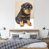 Cute rottweiler puppy canvas afdruk (Insitu (Slaapkamer))
