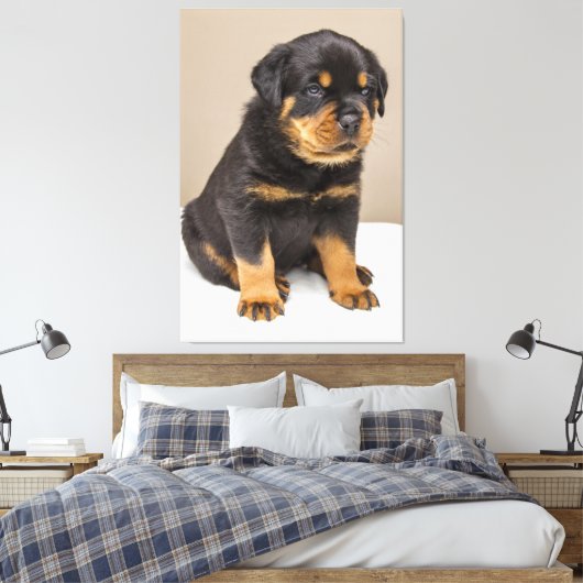 Cute rottweiler puppy canvas afdruk (Insitu (Slaapkamer))