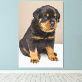 Cute rottweiler puppy canvas afdruk (Insitu (Houten vloer))