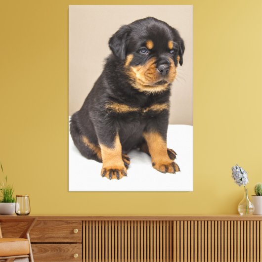 Cute rottweiler puppy canvas afdruk (Insitu (Woonkamer))