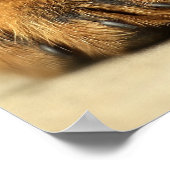 Cute rottweiler puppy poster (Hoek)