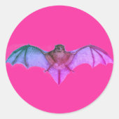 Cute roze  Gothic Bat Round Stickers (Voorkant)