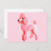 Cute Roze Podle Briefkaart (Voorkant / Achterkant)