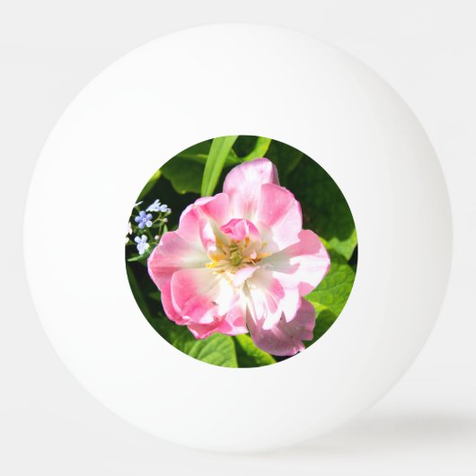 Cute roze tulp pingpongballen (Voorkant)