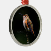 Cute Rufous Hummingbird on Fruit Tree Metalen Ornament (Rechts)