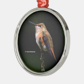 Cute Rufous Hummingbird on Fruit Tree Metalen Ornament (Links)
