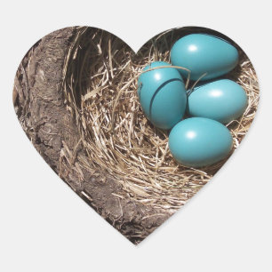 Cute Rustic Bird's Nest Blue Robin Eggs Hart Sticker