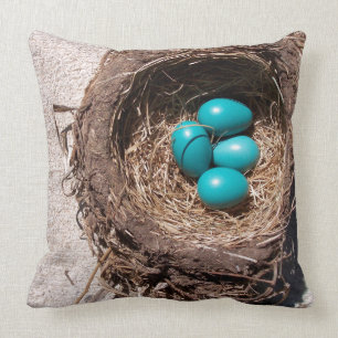 Cute Rustic Bird's Nest Blue Robin Eggs Kussen