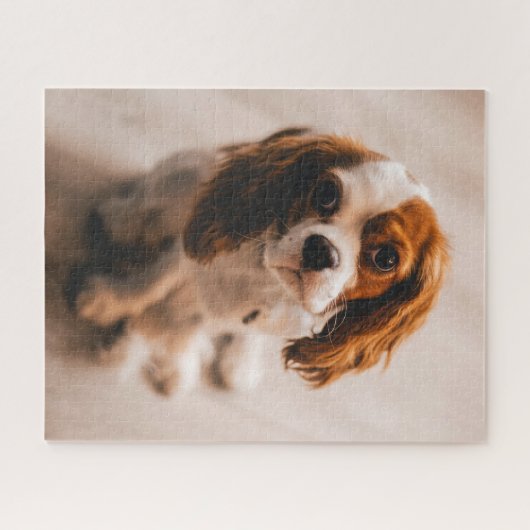 Cute Sad Eyes Red White Cocker Spaniel Puppy Dog Legpuzzel (Horizontaal)
