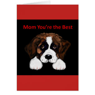 Cute Saint Bernard