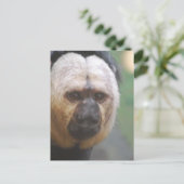 Cute Saki Monkey Briefkaart (Staand voorkant)