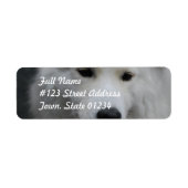Cute Samoyed Mailing Labels (Voorkant)
