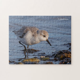 Cute Sanderling Sandpiper die op de kust aan het r Legpuzzel
