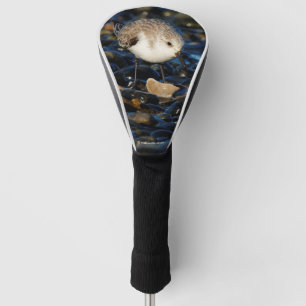 Cute Sanderling Sandpiper Shorebird Dines on Clam Golfheadcover