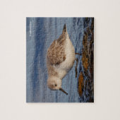 Cute Sanderling Sandpiper Strolls a Winter Beach Legpuzzel (Verticaal)