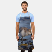 Cute Sanderling Sandpiper Strolls Wintry Beach Schort (Gedragen)