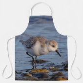 Cute Sanderling Sandpiper Strolls Wintry Beach Schort (Voorkant)