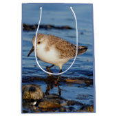Cute Sanderling Sandpiper Wanders Wintry Shores Medium Cadeauzakje (Voorkant)