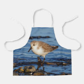 Cute Sanderling Sandpiper Wanders Wintry Shores Schort (Voorkant)