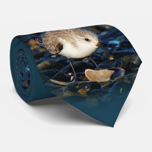 Cute Sanderling Shorebird Dines on Clam at Beach Stropdas (Opgerold)