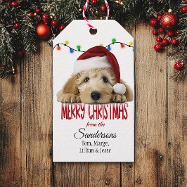 Cute Santa Goldendoodle Christmas Cadeaulabel