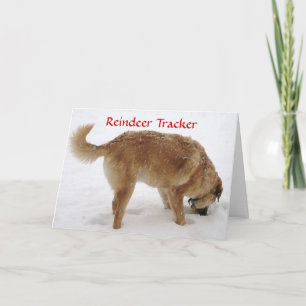 Cute Santa & Reindeer Search & Rescue Dog Feestdagen Kaart