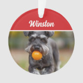 Cute Schnauzer Dog Holiday Christmas Photo (devant)