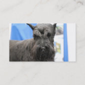 Cute Schnauzer Visitekaartjes (Achterkant)